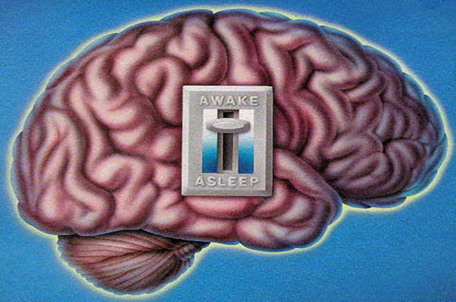 Scientists Finally Discover Human Brain's On/Off Switch