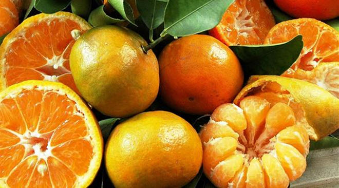 يساعد البرتقال واليوسفي والجريب فروت على رفع مستويات فيتامين "سي" في الجسم