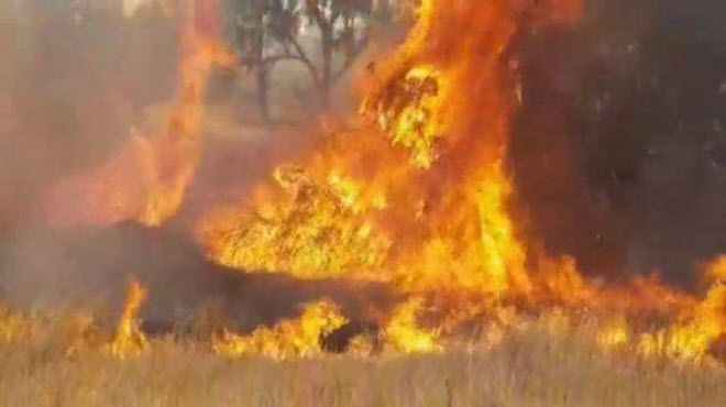 يقول مفوض مكافحة الحرائق في "إسرائيل" أن التعامل مع هذه الحرائق كلف حوالي مليوني شيكل إضافي حتى الآن